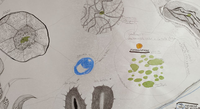 manifesto fitoplancton sabina simon dibujos